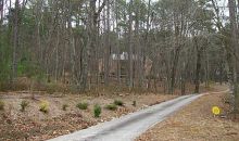 36 Wolf Cliff Road White, GA 30184