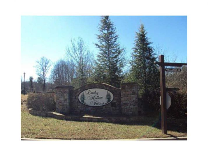 2 Lucky Hollow Farms, Ellijay, GA 30540