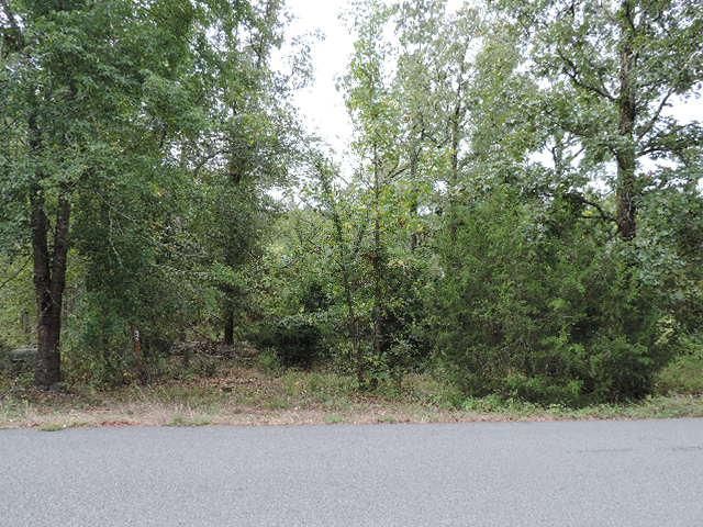 Lot 52 Richland Hills, Conway, AR 72034