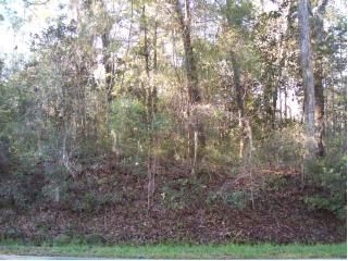 00 Collins Landing Road, Tallahassee, FL 32310