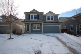 3738 Dinosaur St, Castle Rock, CO 80109