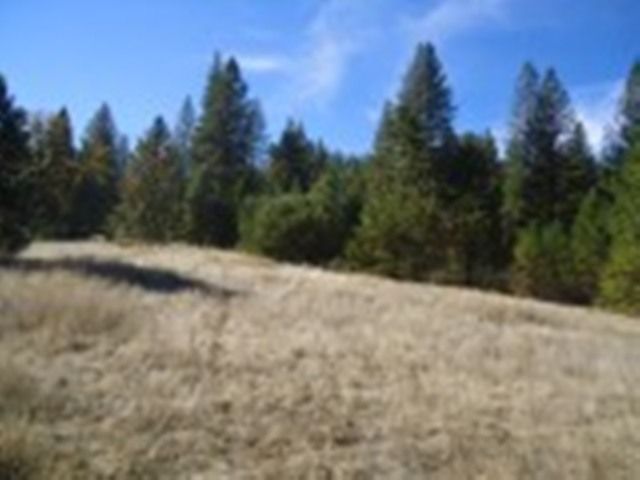 5.3 Acres Old Hwy 120, Groveland, CA 95321