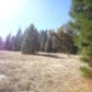 5.3 Acres Old Hwy 120, Groveland, CA 95321 ID:3827150