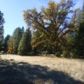 5.3 Acres Old Hwy 120, Groveland, CA 95321 ID:3827151