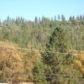 5.3 Acres Old Hwy 120, Groveland, CA 95321 ID:3827155