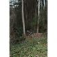 1904 Highpoint Road, Snellville, GA 30078 ID:4530438