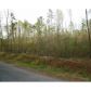 398 N Mud Creek Road, Temple, GA 30179 ID:4524594