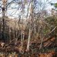 Lot 10 & 11 Blackjack Trail Trl, Mountain Home, AR 72653 ID:1165458