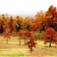 Lot 10 Oak Summit Drive, Mountain Home, AR 72653 ID:1165449