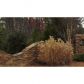 1389 Brody Drive, Marietta, GA 30064 ID:5913034