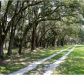 2543 ROYAL OAK DR, Johns Island, SC 29455 ID:1091604