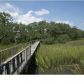 2543 ROYAL OAK DR, Johns Island, SC 29455 ID:1091612