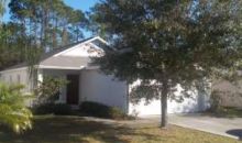 30315 Pongo Way Wesley Chapel, FL 33545