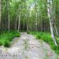 850 S Hyer Road, Wasilla, AK 99654 ID:2629000