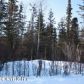 13850 E Wilderness Lane, Palmer, AK 99645 ID:1514395