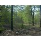 0 Brandy Mountain Road, Dahlonega, GA 30533 ID:3443984