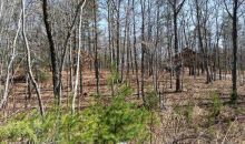 2 Cabin Country Morganton, GA 30560