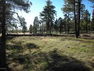 10 Acres 7.85 Miles S Vernon, Pinetop, AZ 85935