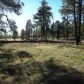 10 Acres 7.85 Miles S Vernon, Pinetop, AZ 85935 ID:2746402