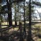 10 Acres 7.85 Miles S Vernon, Pinetop, AZ 85935 ID:2746403