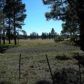 10 Acres 7.85 Miles S Vernon, Pinetop, AZ 85935 ID:2746404