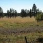 10 Acres 7.85 Miles S Vernon, Pinetop, AZ 85935 ID:2746405