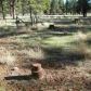 10 Acres 7.85 Miles S Vernon, Pinetop, AZ 85935 ID:2746406