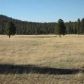 10 Acres 7.85 Miles S Vernon, Pinetop, AZ 85935 ID:2746407