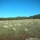 10 Acres 7.85 Miles S Vernon, Pinetop, AZ 85935 ID:2746408