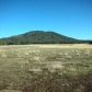 10 Acres 7.85 Miles S Vernon, Pinetop, AZ 85935 ID:2746409