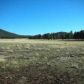 10 Acres 7.85 Miles S Vernon, Pinetop, AZ 85935 ID:2746410