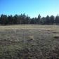 10 Acres 7.85 Miles S Vernon, Pinetop, AZ 85935 ID:2746411