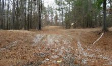 0 Flat Rock Road Stockbridge, GA 30281