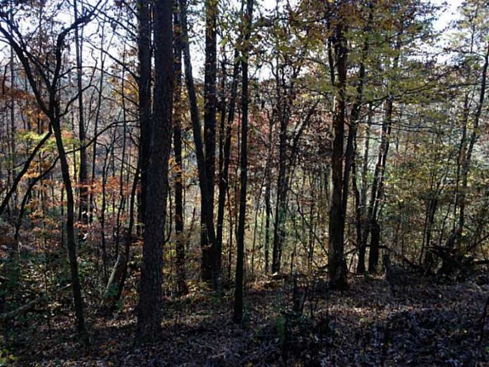 0 Licklog Trail, Ellijay, GA 30540