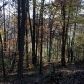 0 Licklog Trail, Ellijay, GA 30540 ID:3027875