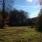 0 Licklog Trail, Ellijay, GA 30540 ID:3027882