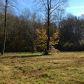 0 Licklog Trail, Ellijay, GA 30540 ID:3027883