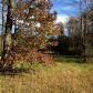 0 Licklog Trail, Ellijay, GA 30540 ID:3027886