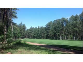 3376 Red Robin Rd., Pinetop, AZ 85935