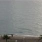 1904 S Ocean Dr # 1201, Hallandale, FL 33009 ID:251880