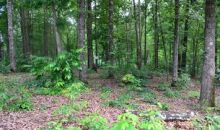 Lot 95 Keowee Falls South Town  Apn Salem, SC 29676