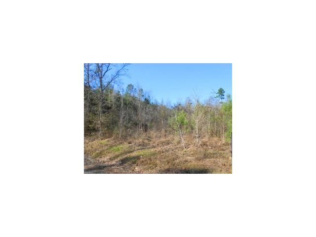 LOT 1 CRYER RD, Leesville, LA 71446