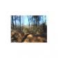 LOT 1 CRYER RD, Leesville, LA 71446 ID:3095398