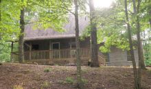 161 Mohawk Trl Ellijay, GA 30540