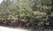 0 Hwy 381 Parcel A Dallas, GA 30132