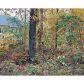 0 Corner Road, Powder Springs, GA 30127 ID:2698842