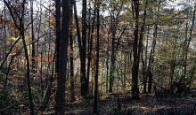 0 Licklog Trail Ellijay, GA 30540