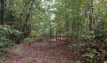 0 Roundtop Road Ellijay, GA 30540