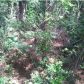 0 WALKING HORSE RD #LOT B, Hollywood, SC 29449 ID:3367513