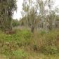 21143 SKI WAY, Land O Lakes, FL 34638 ID:3321968